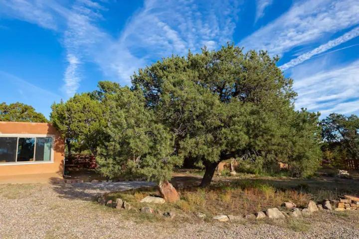 Pet Friendly Pinon Heaven Bed & Breakfast Canada de los Alamos Ngoại thất bức ảnh